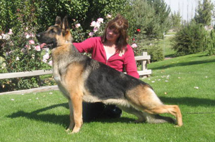yanko